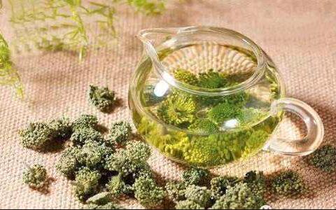 三七花泡水喝的功效 三七花泡水喝的功效